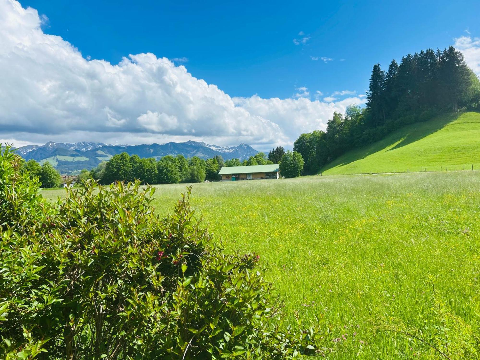 Schoenes Apartment Mit Traumhaftem Bergblick! Bihlerdorf Exterior foto